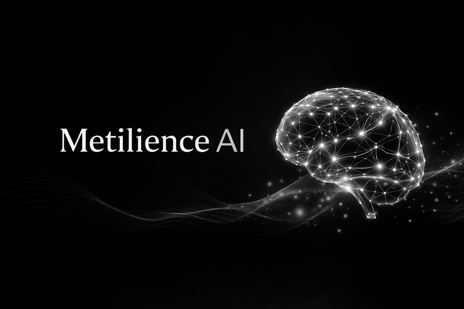 Metilience AI Reasoning Engine
